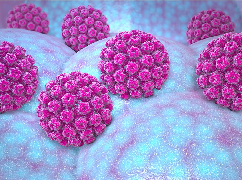 Mối Liên Hệ Giữa Vi Rút HPV Va Ung Thư Âm Đạo
