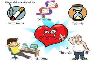 Tim Đập Nhanh Và Những Triệu Chứng Cần Gặp Bác Sĩ