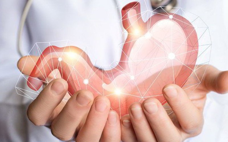Khám Dạ Dày Là Khám Những Gì?