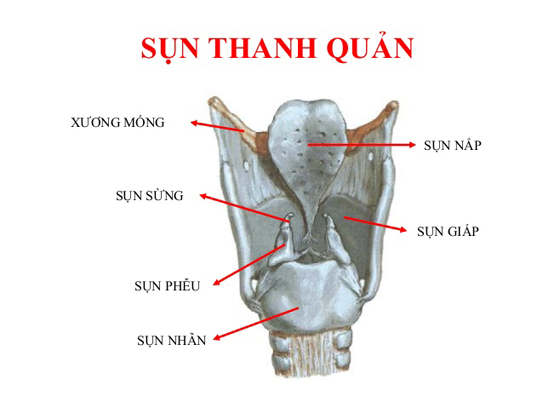 Triệu chứng bệnh mềm sụn thanh quản